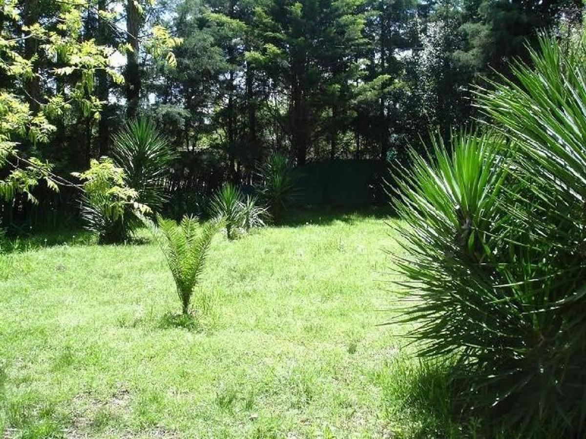  Land in Moreno, Argentina No. 46761