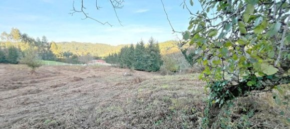  قطعة أرض في Coiros, Spain 480متر مربع رقم 34993 2