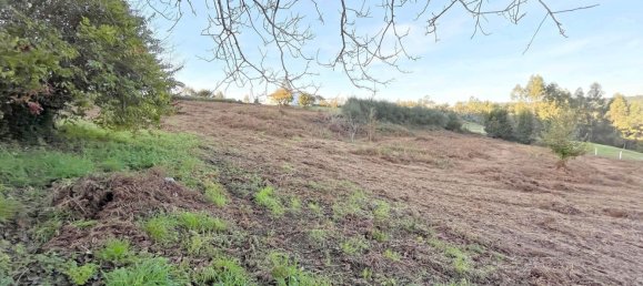  قطعة أرض في Coiros, Spain 480متر مربع رقم 34993 16