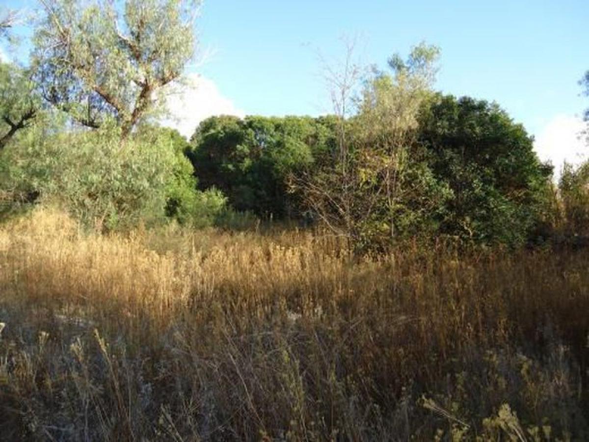 Grundstück in San Luis, Argentina, Nr. 47537