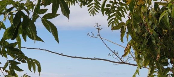 3 chambres Maison à Arenas, Spain No. 58093 4