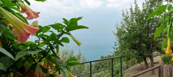 5 rooms House in Vernazza, Italy No. 143877 29