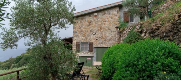 5 rooms House in Vernazza, Italy No. 143877 43