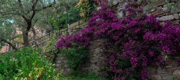 5 rooms House in Vernazza, Italy No. 143877 28