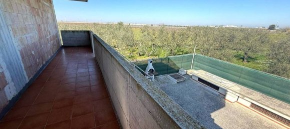 2 bedrooms Villa in Barletta, Italy No. 17909 17