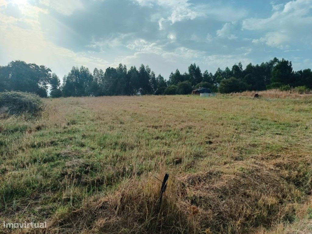 Grundstück in Paiao, Portugal 2399m², Nr. 253164