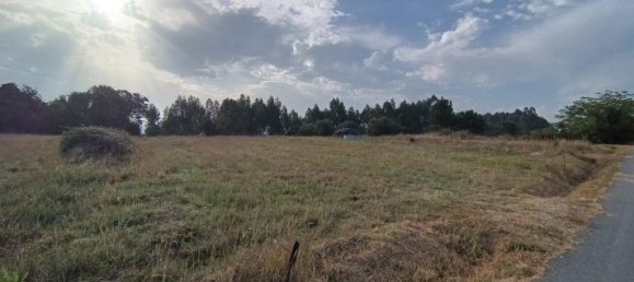 2399m² Land in Paiao, Portugal No. 253164 4