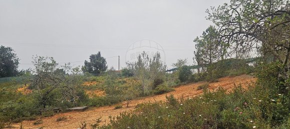 Земельный участок в Картейра, Португалия № 38557 3