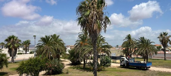 5 Schlafzimmer Haus in Torrevieja, Spain, Nr. 188480 17