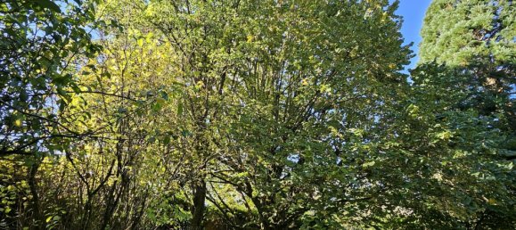 7 bedrooms House in Varennes-en-Argonne, France No. 40332 2