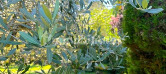 5 Schlafzimmer Villa in Vejano, Italy, Nr. 283643 44