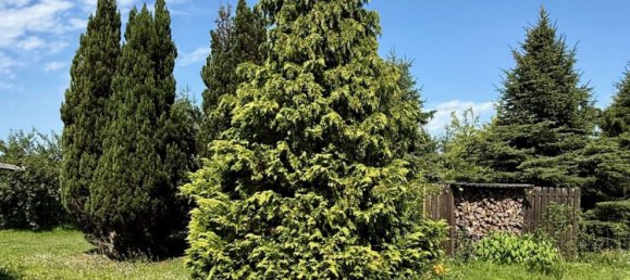 Casa T2 em Spree-Neise, Germany N.º 311381 29