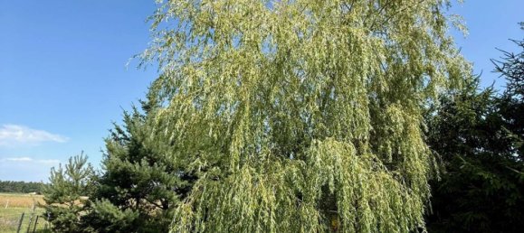 Casa T2 em Spree-Neise, Germany N.º 311381 31