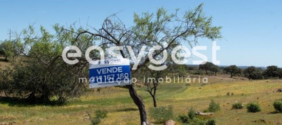 21000m² Land in Azinhal, Portugal No. 40633 10