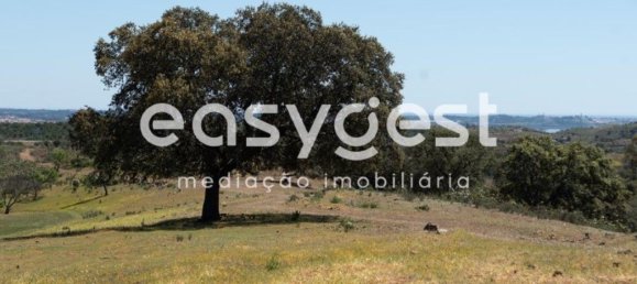 21000m² Land in Azinhal, Portugal No. 40633 9