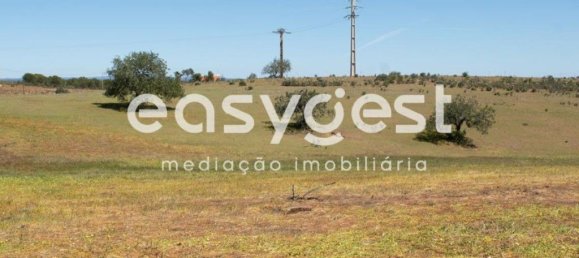 21000m² Land in Azinhal, Portugal No. 40633 3