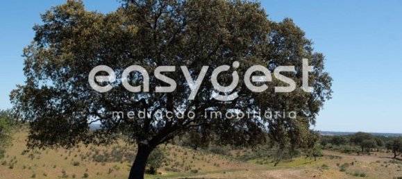 21000m² Land in Azinhal, Portugal No. 40633 2