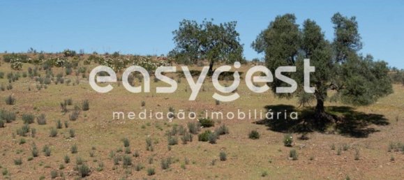 21000m² Land in Azinhal, Portugal No. 40633 14