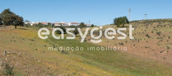 21000m² Land in Azinhal, Portugal No. 40633 12