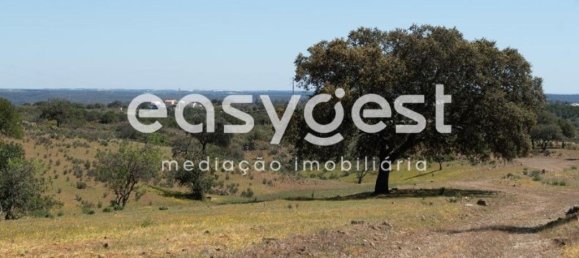21000m² Land in Azinhal, Portugal No. 40633 5