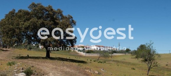 21000m² Land in Azinhal, Portugal No. 40633 8