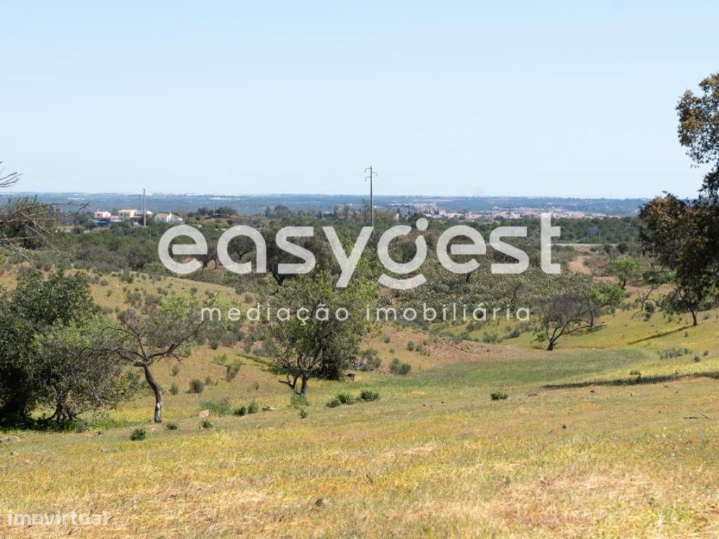 21000m² Land in Azinhal, Portugal No. 40633