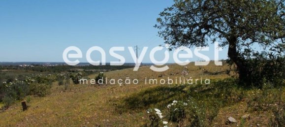 21000m² Land in Azinhal, Portugal No. 40633 11