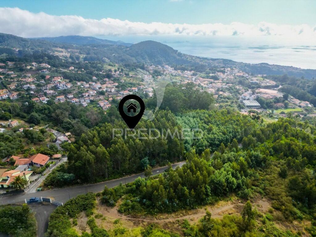 12700m² Land in Camacha, Portugal No. 280742