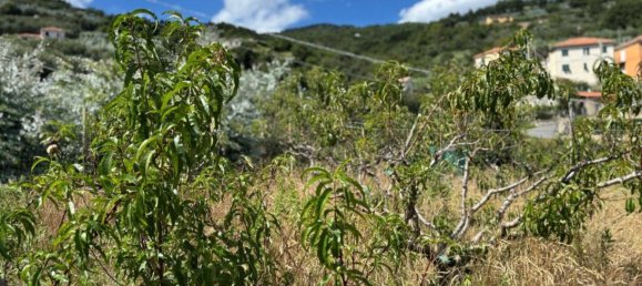 4 غرف نوم منزل في Magliolo, Italy رقم 307046 22