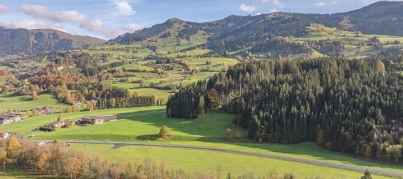 Grundstück in Aurach bei Kitzbühel, Austria 9972m², Nr. 164622 8