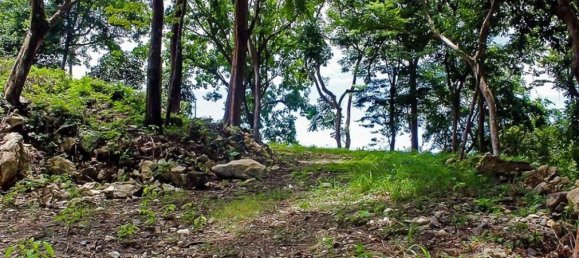 Grundstück in Puntarenas, Costa Rica, Nr. 1406 4