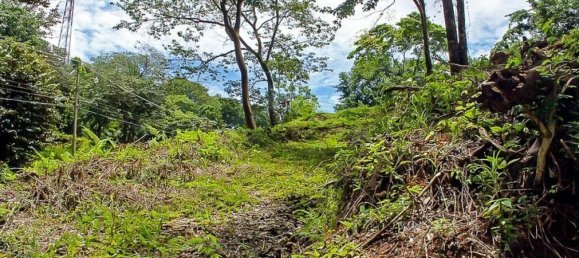 Grundstück in Puntarenas, Costa Rica, Nr. 1406 2