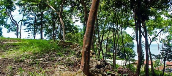 Grundstück in Puntarenas, Costa Rica, Nr. 1406 5