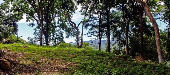Grundstück in Puntarenas, Costa Rica, Nr. 1406 6