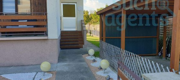 10 rooms House in Ansfelden, Austria No. 115052 2