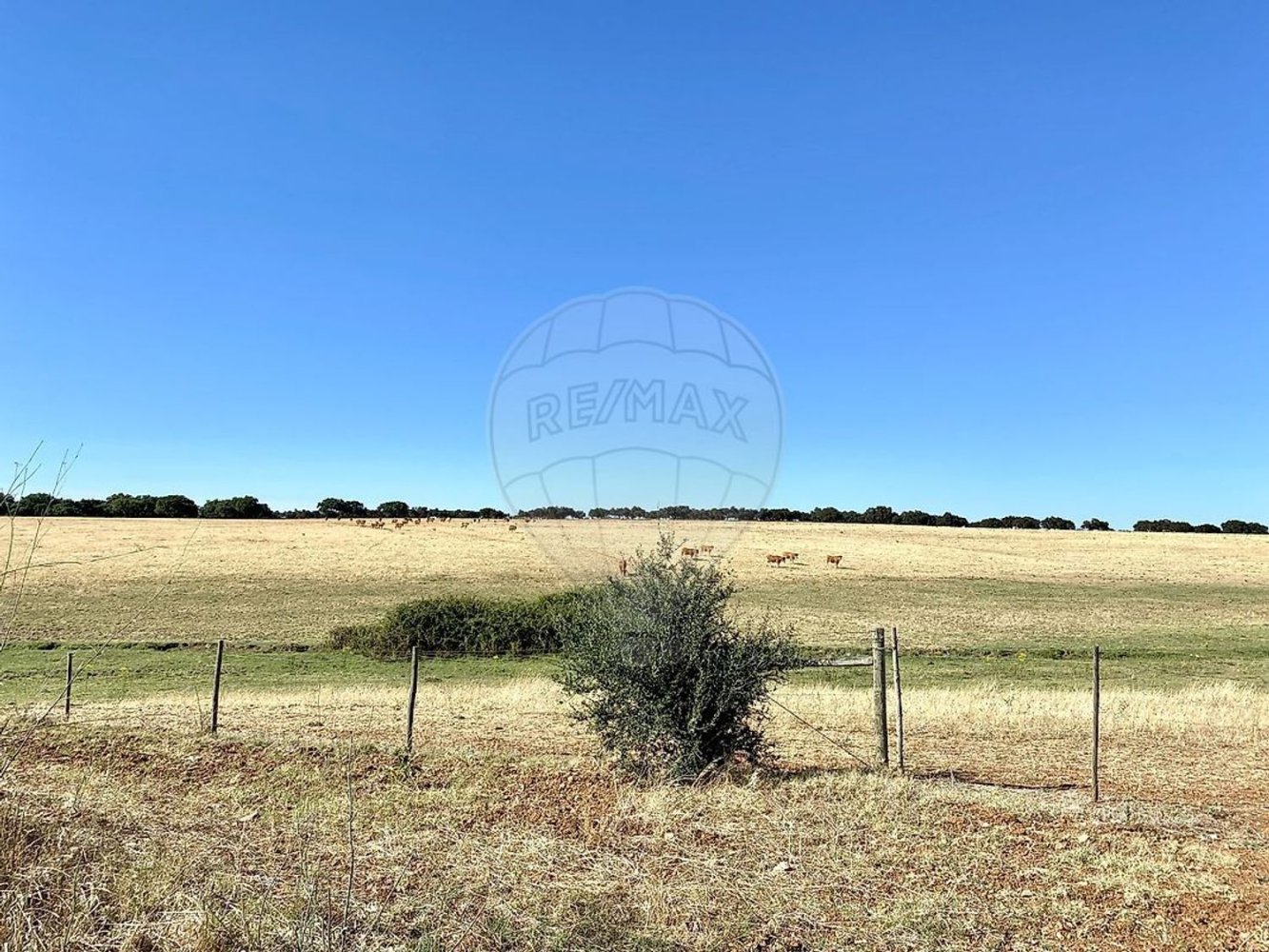 1 bedroom Castles in Nossa Senhora de Machede, Portugal No. 69728