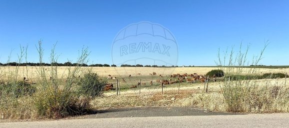 1 bedroom Castles in Nossa Senhora de Machede, Portugal No. 69728 6