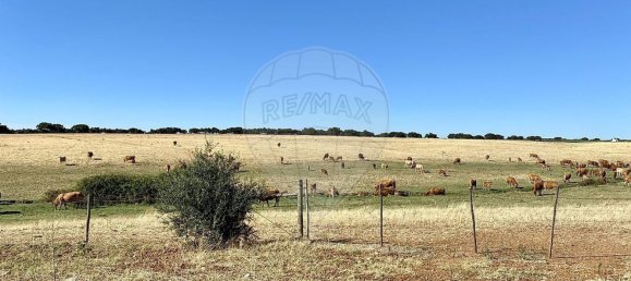 1 bedroom Castles in Nossa Senhora de Machede, Portugal No. 69728 9
