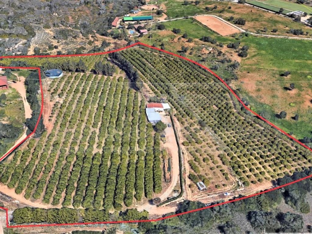 Terrain à Silves, Portugal 48m² No. 234760