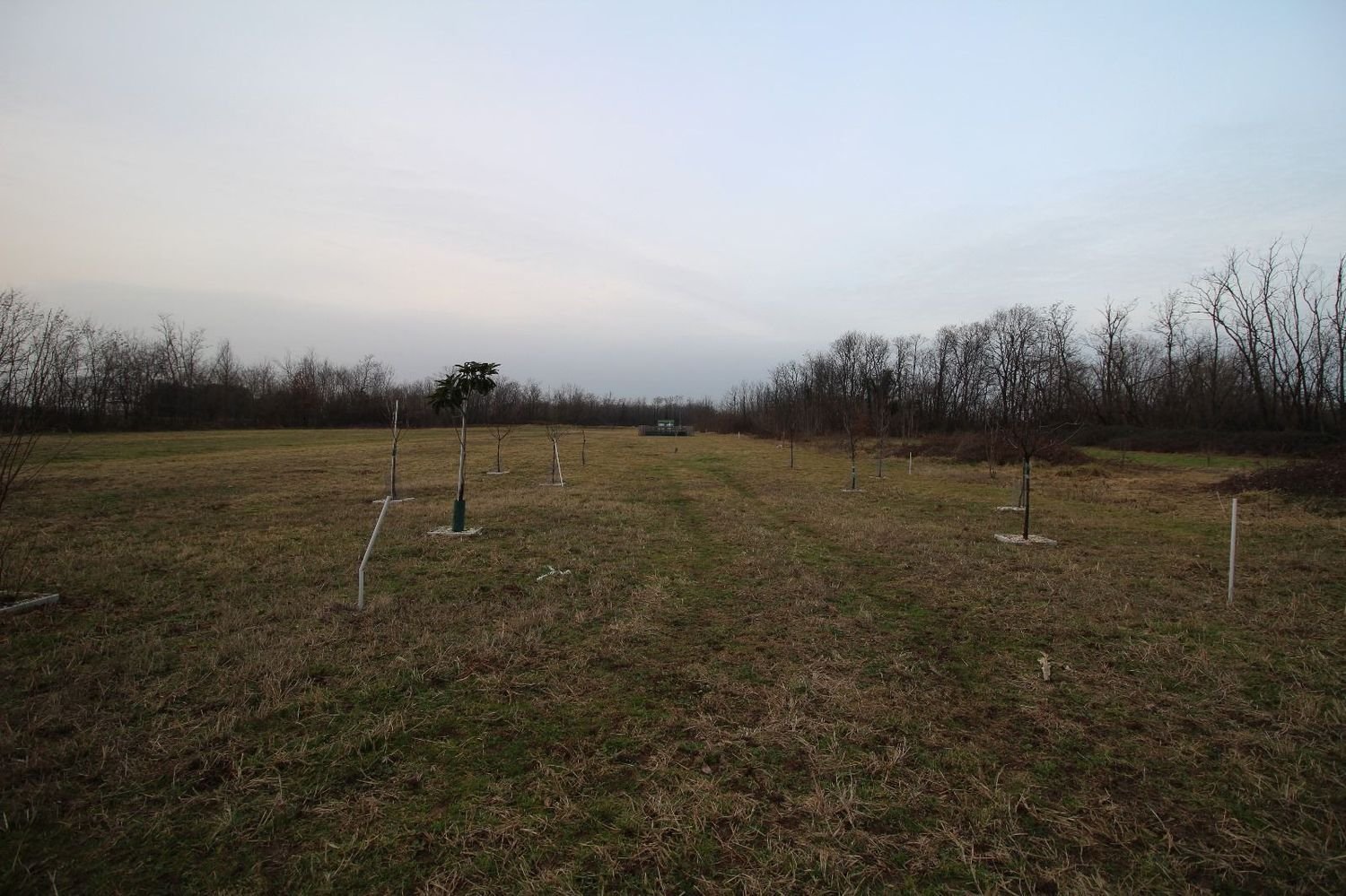 2230m² Land in Cambiago, Italy No. 162331