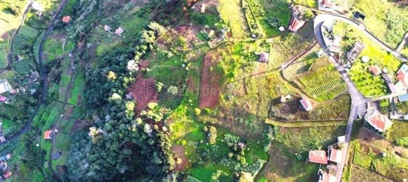 Grundstück in Porto da Cruz, Portugal 6877m², Nr. 145055 11