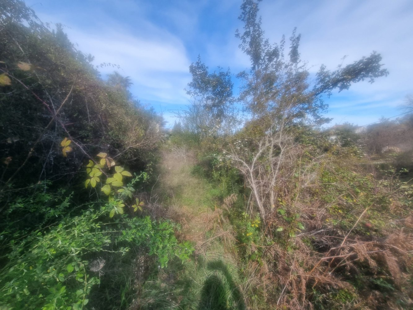 Grundstück in Talasani, France, Nr. 68423