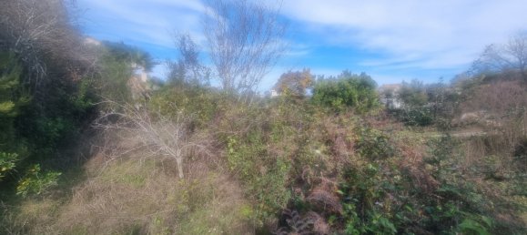 Grundstück in Talasani, France, Nr. 68423 4