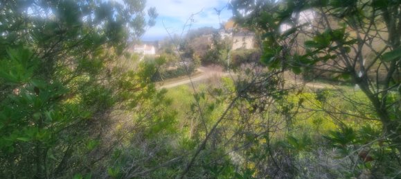 Grundstück in Talasani, France, Nr. 68423 2