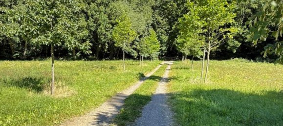 9 rooms Villa in Solingen, Germany No. 319428 9