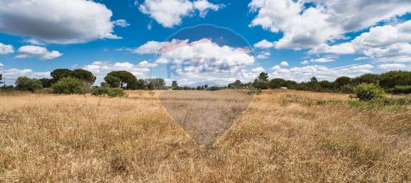 4 bedrooms House in Coruche, Portugal No. 181248 11