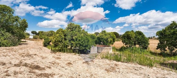 4 bedrooms House in Coruche, Portugal No. 181248 10