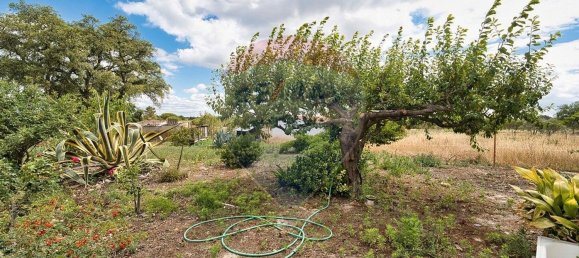 4 bedrooms House in Coruche, Portugal No. 181248 7