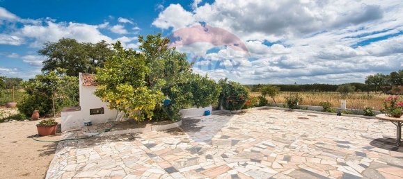 4 bedrooms House in Coruche, Portugal No. 181248 12