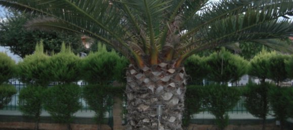 330m² Property in Chalkidiki, Greece No. 6240 7